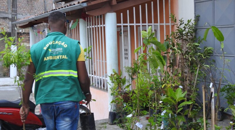 Feira Mais Verde leva distribuição de mudas e educação ambiental aos distritos de Feira de Santana