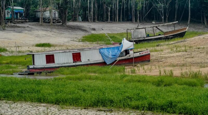 COP17 começa na Mongólia com foco em seca, terra e financiamento