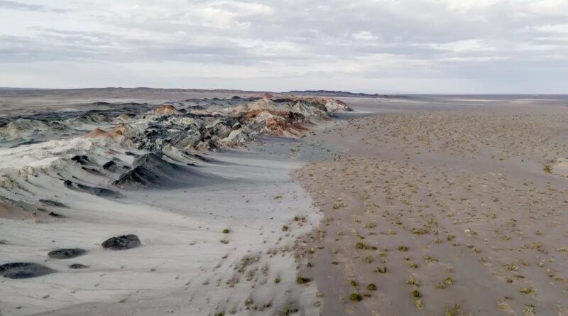 Fungos podem restaurar terras degradadas e combater crise climática