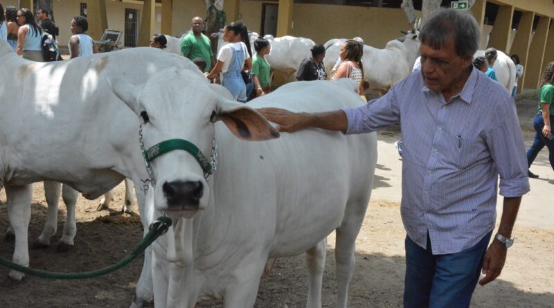 Elite do nelore na Expofeira será levada a leilão nacional