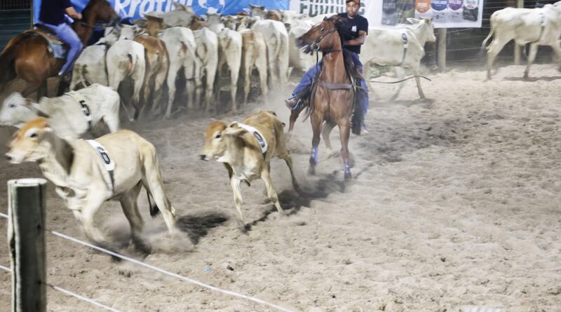 Team Penning reúne competidores e público na quarta noite da Expofeira