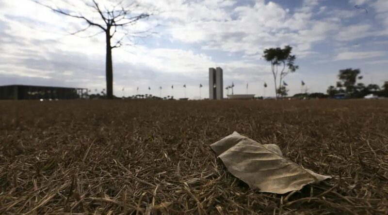 Aquecimento além de 1,5°C ameaça saúde, agricultura e economia