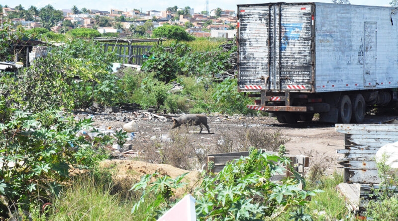 Revitalização da Lagoa Salgada avança com ação integrada entre as secretarias municipais de Feira de Santana