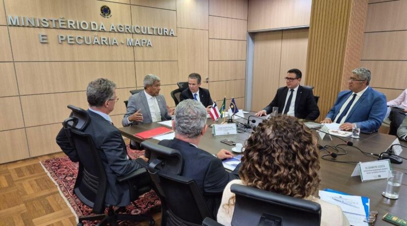 Acordo abre caminho para previsão de safra de cacau na Bahia